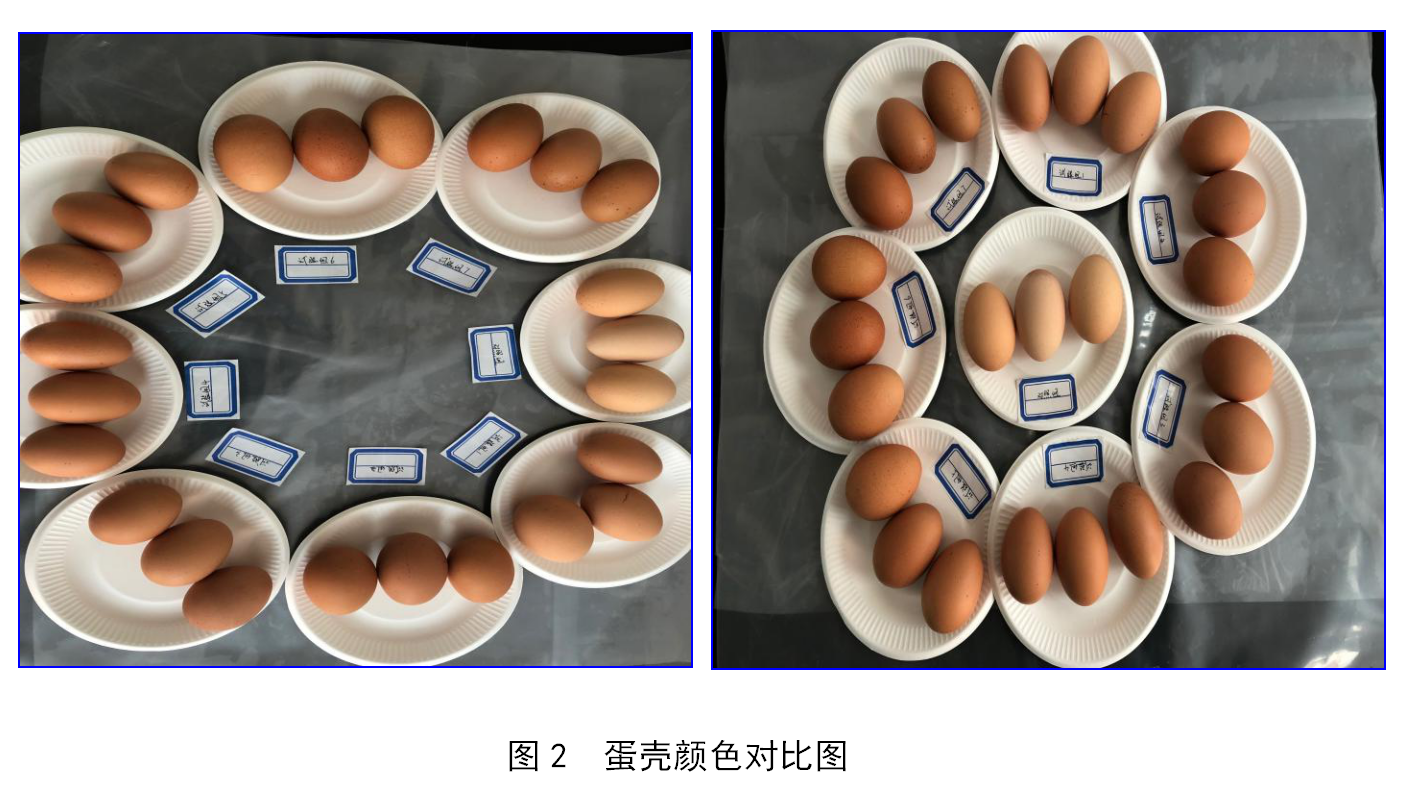 尊龙凯时人生就是博·(中国)官网登录